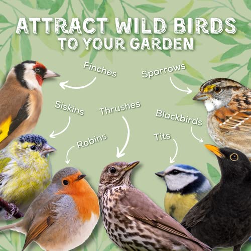 Copdock Mill Wild Bird Seed & Grain Mix Bag – All Year-Round High-Energy Wild Bird Food – 100% Natural Ingredients Including Sunflower Seeds and Peanuts
