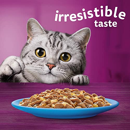 Whiskas 1+ Adult Mixed Selection in Jelly 84 Pouches, Adult Wet Cat Food, Megapack
