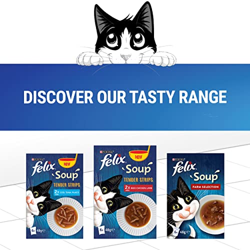Felix Original 7+ Variety in Jelly Cat Food