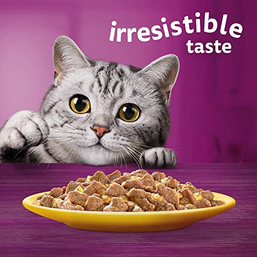 Whiskas 1+ Adult Mixed Selection in Jelly 84 Pouches, Adult Wet Cat Food, Megapack