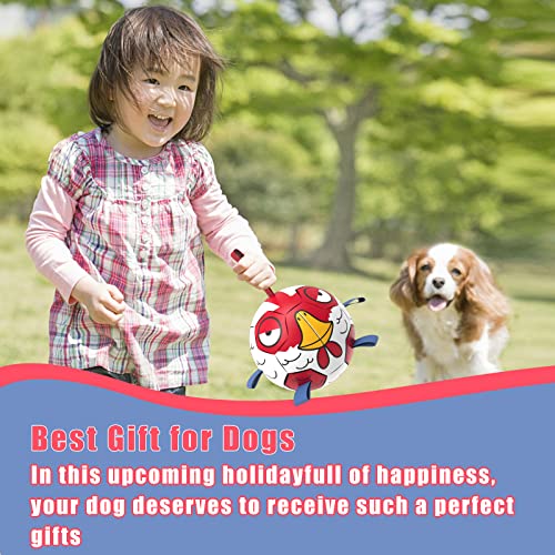 HETOO Dog Toys, Interactive Dog Football Toys with Grab Tabs, Durable Dog Balls for Small Medium Breed Dog Water Toy Indoor & Outdoor, Gift for Dogs