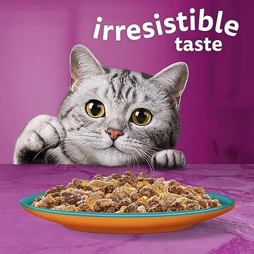 Whiskas 1+ Adult Mixed Selection in Jelly 84 Pouches, Adult Wet Cat Food, Megapack