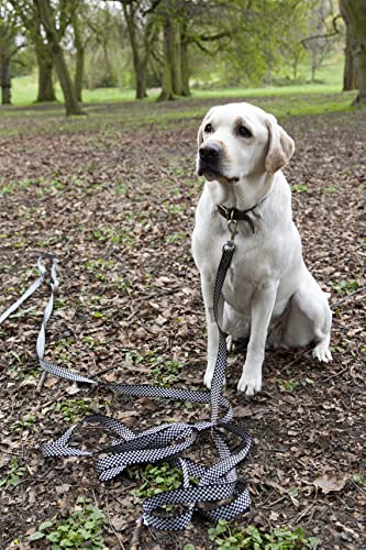 Maximum Pet Products 65ft 20M Dog & Horse Training Lunge Lead. 25mm - 1" Wide. Very Strong