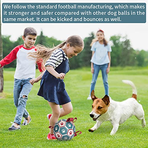 HETOO Dog Toys, Interactive Dog Football Toys with Grab Tabs, Durable Dog Balls for Small Medium Breed Dog Water Toy Indoor & Outdoor, Gift for Dogs