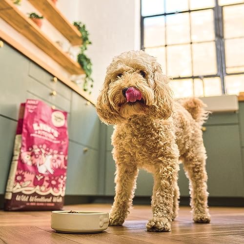 Lily's Kitchen Natural Adult Dry Dog Food Chicken & Duck Grain-Free Recipe