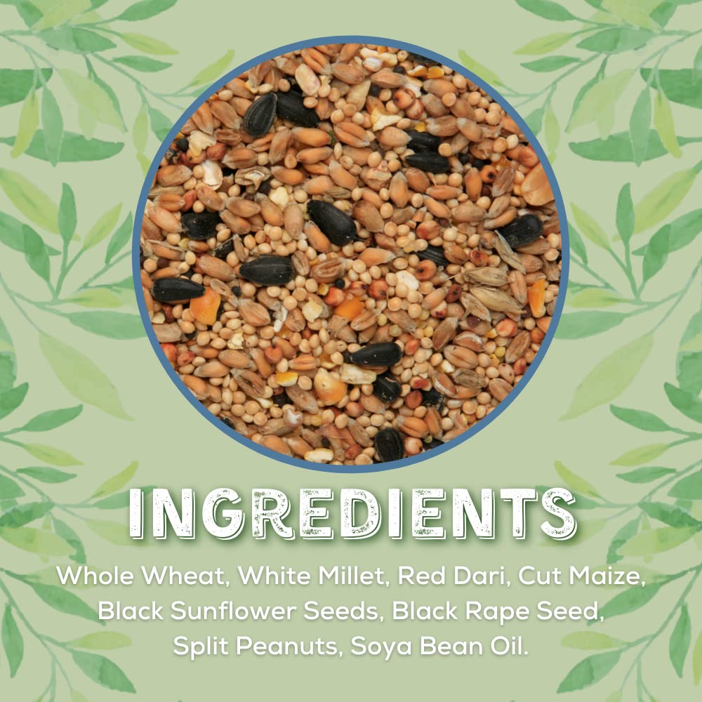 Copdock Mill Wild Bird Seed & Grain Mix Bag – All Year-Round High-Energy Wild Bird Food – 100% Natural Ingredients Including Sunflower Seeds and Peanuts