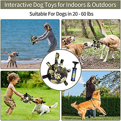 HETOO Dog Toys, Interactive Dog Football Toys with Grab Tabs, Durable Dog Balls for Small Medium Breed Dog Water Toy Indoor & Outdoor, Gift for Dogs