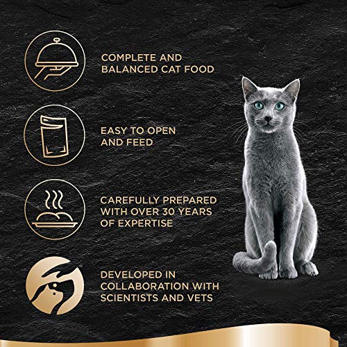 Sheba Fine Flakes Poultry Collection in Jelly 40 Pouches, Adult Wet Cat Food
