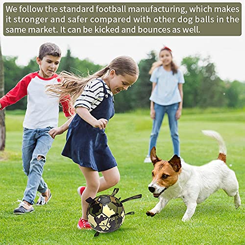 HETOO Dog Toys, Interactive Dog Football Toys with Grab Tabs, Durable Dog Balls for Small Medium Breed Dog Water Toy Indoor & Outdoor, Gift for Dogs