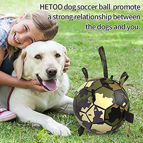 HETOO Dog Toys, Interactive Dog Football Toys with Grab Tabs, Durable Dog Balls for Small Medium Breed Dog Water Toy Indoor & Outdoor, Gift for Dogs