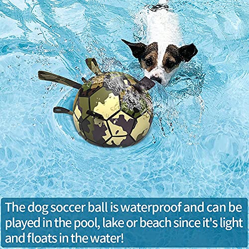 HETOO Dog Toys, Interactive Dog Football Toys with Grab Tabs, Durable Dog Balls for Small Medium Breed Dog Water Toy Indoor & Outdoor, Gift for Dogs