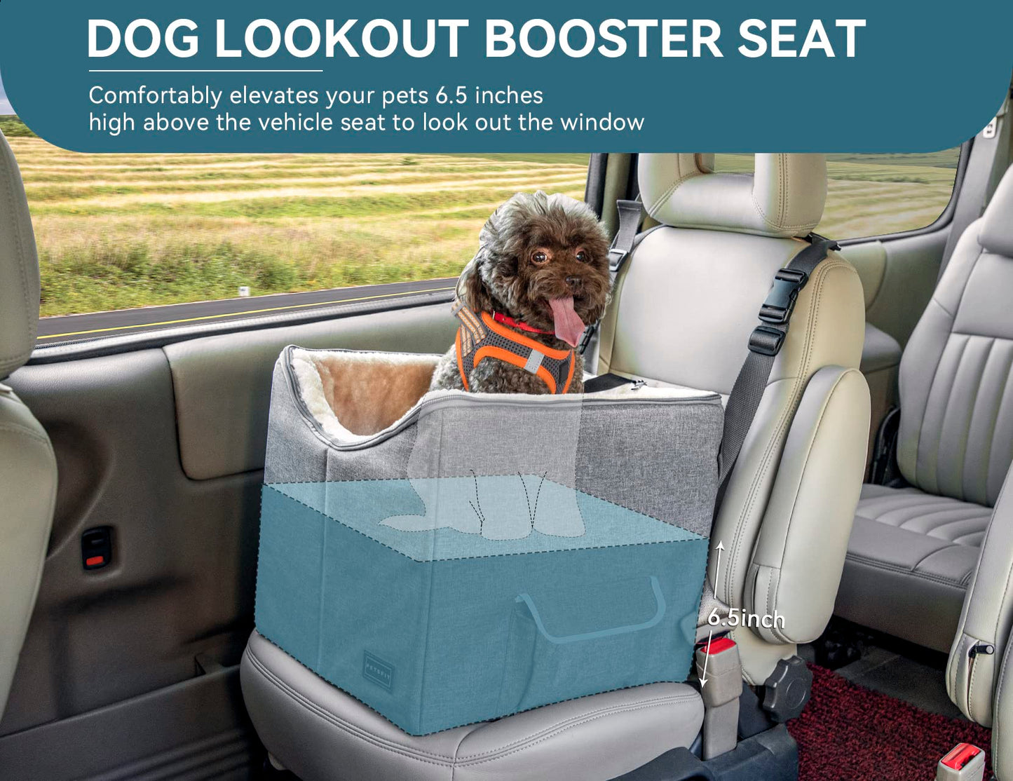 Petsfit Dog Car Seat, Upgraded Dog Booster Seat for Medium Dogs or 2 Small Dogs, Pet Travel Car Booster Seat for Front and Back Seats with Washable Double-Sided Cushion and 2 Safety Leashes