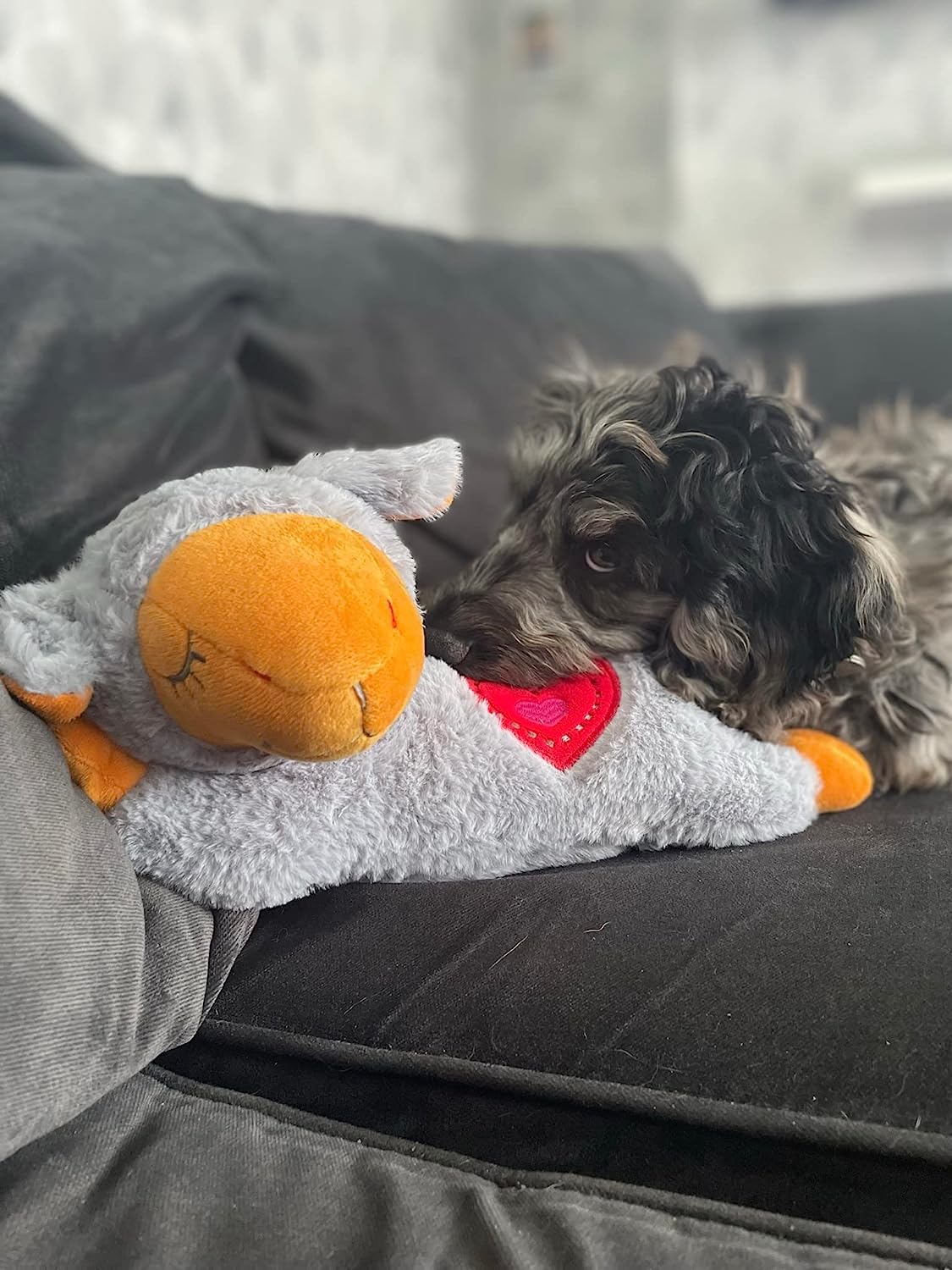 ALL FOR PAWS Little Buddy Heart Beat Sheep, Puppy Toy With Heartbeat Dog Training Toy For Separation Anxiety Relief Behavioral Aid For Pets