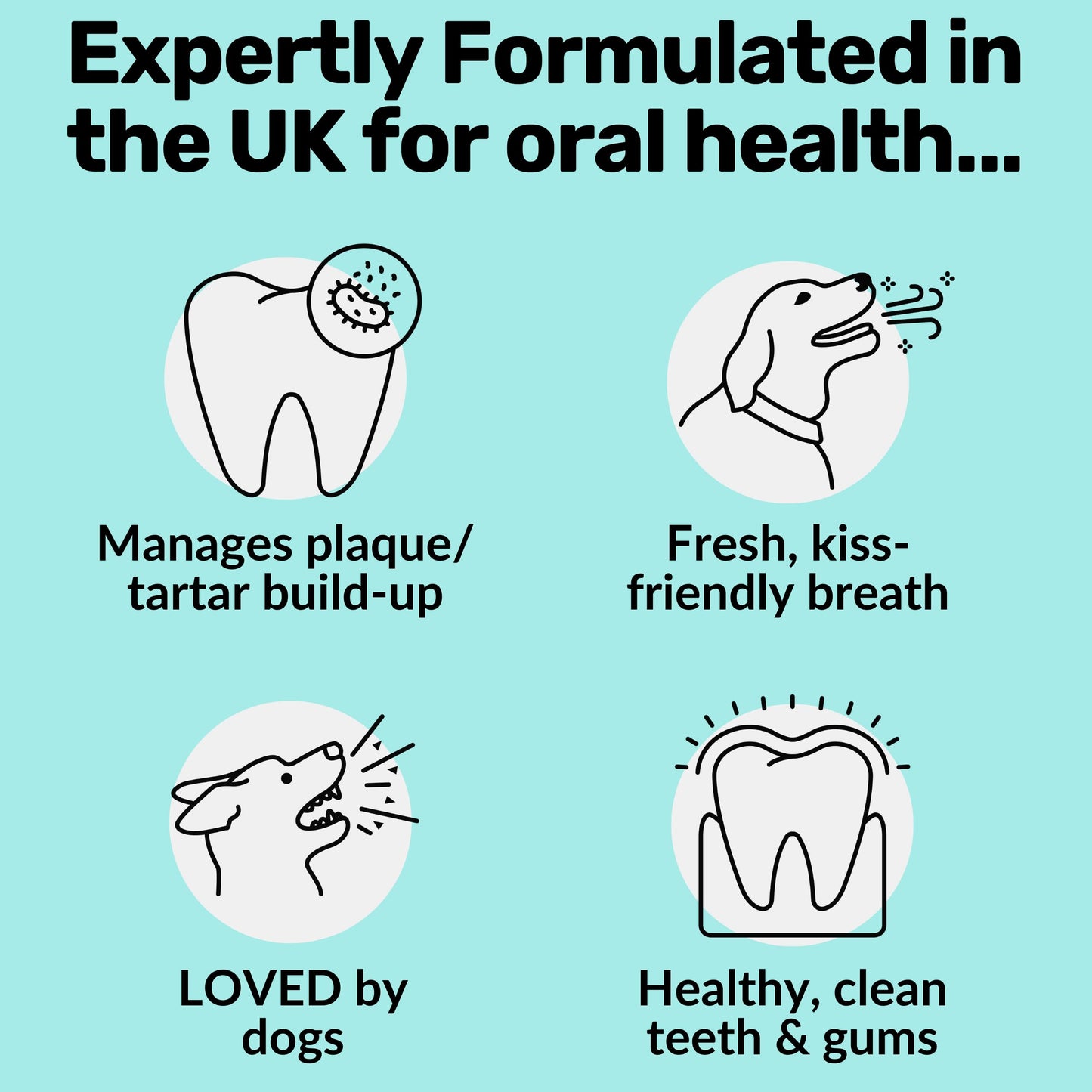 NutriPaw Dental Formula Water Additive For Dogs & Cats - Clean Teeth, Healthy Gums & Fresh Breath - Manage Plaque & Tartar Build-Up - Fuss-Free - No Brushing Needed - Cat/Dog Mouthwash & Oral Health