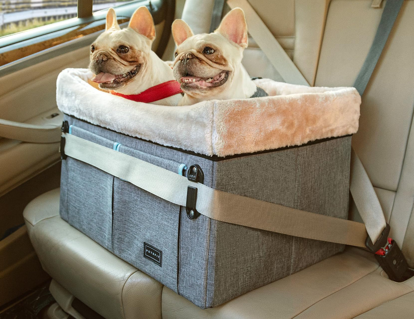 Petsfit Dog Car Seat, Upgraded Dog Booster Seat for Medium Dogs or 2 Small Dogs, Pet Travel Car Booster Seat for Front and Back Seats with Washable Double-Sided Cushion and 2 Safety Leashes