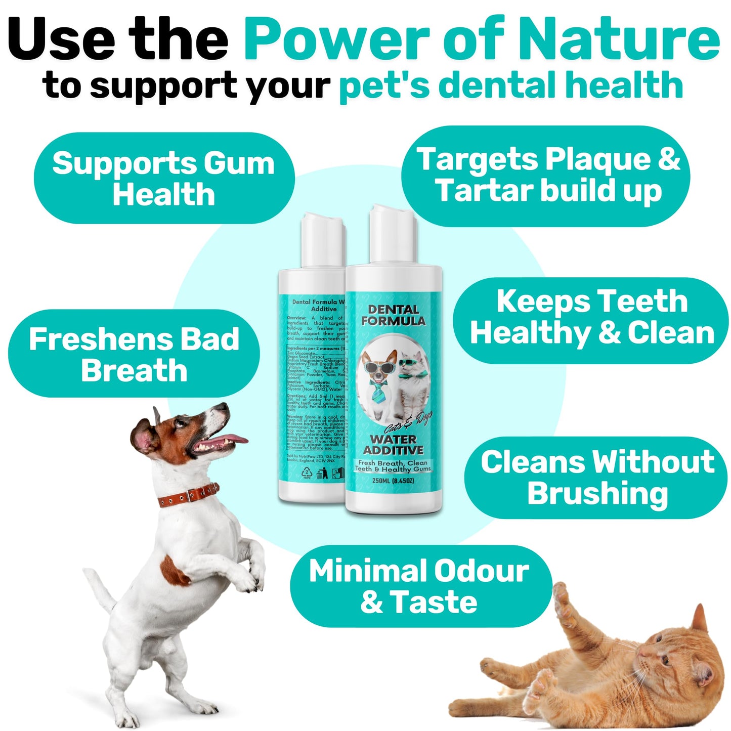 NutriPaw Dental Formula Water Additive For Dogs & Cats - Clean Teeth, Healthy Gums & Fresh Breath - Manage Plaque & Tartar Build-Up - Fuss-Free - No Brushing Needed - Cat/Dog Mouthwash & Oral Health