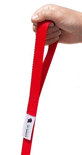 Maximum Pet Products 65ft 20M Dog & Horse Training Lunge Lead. 25mm - 1" Wide. Very Strong