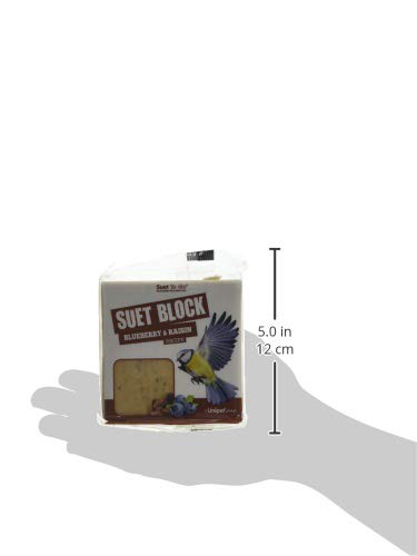 Suet To Go Mealworm Suet Block Wild Bird Treat