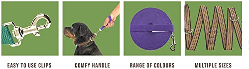Maximum Pet Products 65ft 20M Dog & Horse Training Lunge Lead. 25mm - 1" Wide. Very Strong