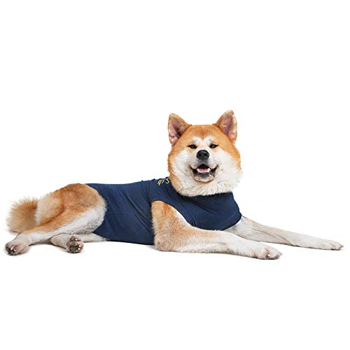 MPS Medical Pet Shirt Dog, Surgery Recovery Suit