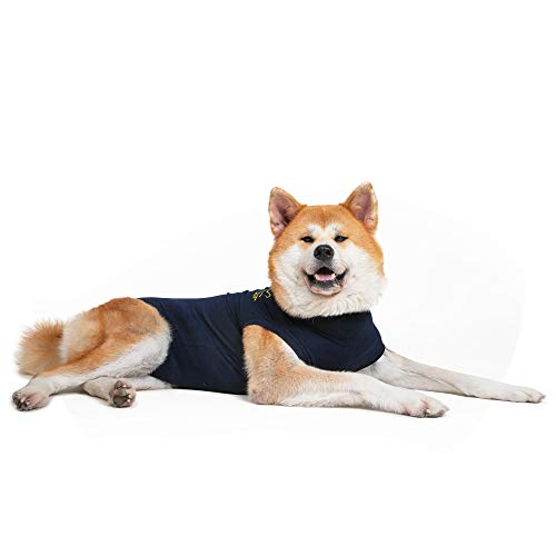 MPS Medical Pet Shirt Dog, Surgery Recovery Suit
