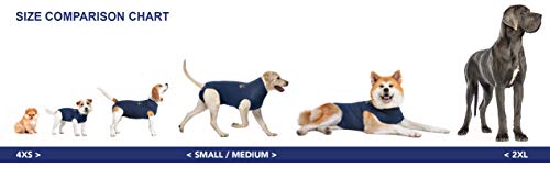 MPS Medical Pet Shirt Dog, Surgery Recovery Suit