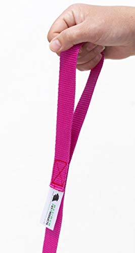 Maximum Pet Products 65ft 20M Dog & Horse Training Lunge Lead. 25mm - 1" Wide. Very Strong