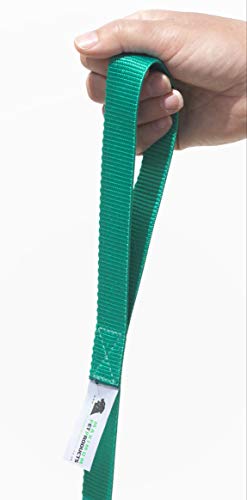 Maximum Pet Products 65ft 20M Dog & Horse Training Lunge Lead. 25mm - 1" Wide. Very Strong