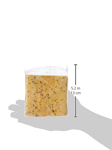 Suet To Go Mealworm Suet Block Wild Bird Treat