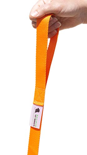 Maximum Pet Products 65ft 20M Dog & Horse Training Lunge Lead. 25mm - 1" Wide. Very Strong