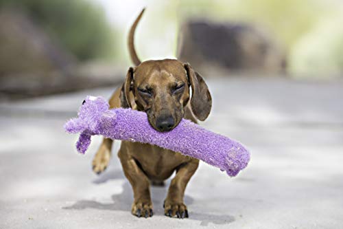Plush Toys Happy Pet Loofa Dog, 12-inch