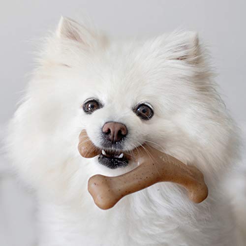 Benebone Indestructible Wishbone Dog Chew Toy for Aggressive Chewers, Long Lasting Tough Boredom Breaker for Dogs, Real Bacon Flavour, For Medium Dogs