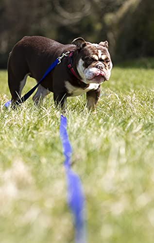 Maximum Pet Products 65ft 20M Dog & Horse Training Lunge Lead. 25mm - 1" Wide. Very Strong