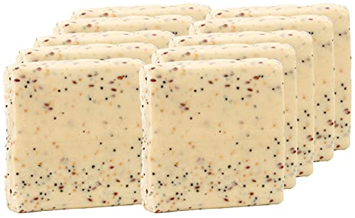 Suet To Go Mealworm Suet Block Wild Bird Treat