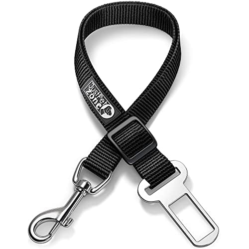 dog seat belt