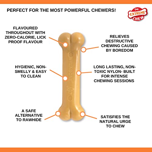Nylabone Dura Chew Extreme Tough Dog Chew Toy Bone, Bacon Flavour, XS, for Dogs Up to 7 kg