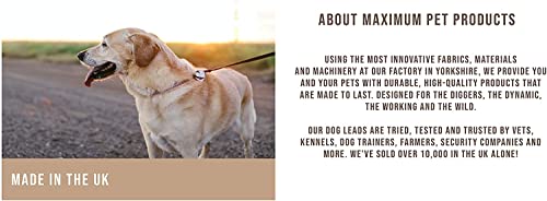 Maximum Pet Products 65ft 20M Dog & Horse Training Lunge Lead. 25mm - 1" Wide. Very Strong