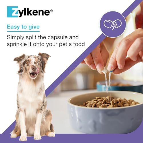 Zylkene Calming Supplements for Cats & Dogs up to 10kg 75mg | Promotes Relaxation | Helps Pets cope with Short-Term challenging situations: Loud Noises | Easily Administered | Capsules