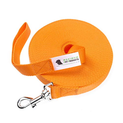 Maximum Pet Products 65ft 20M Dog & Horse Training Lunge Lead. 25mm - 1" Wide. Very Strong