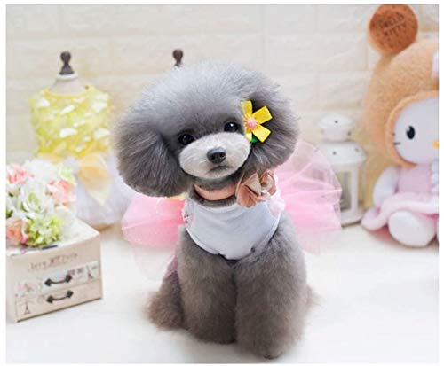 Izefia Dog Dress Puppy Skirt Dog Princess Dresses Rdc Pet Tutu Flower and Sequin Dot Wedding Lace Dress Luxury Bow Dress for Small Dog Girl