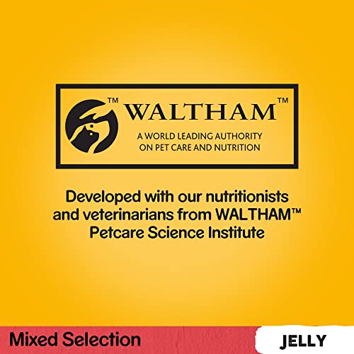 Pedigree Mixed Selection in Jelly 40 Pouches, Adult Wet Dog Food, Megapack (40 x 100 g)