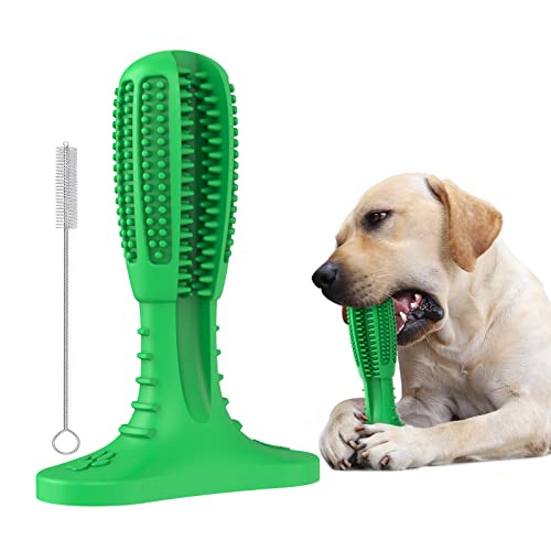 RUCACIO Dog Chew Toys, Tough Durable Dog Toothbrush Toys, Outdoor Interactive Dog Toys Dogs Dental Care Teeth Cleaning Toy, Puppy Dog Birthday Gifts