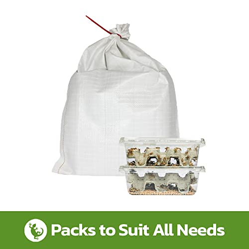 Swell Reptiles Standard Live Brown Crickets for Reptiles 12mm-18mm. 100 Pre-Pack of Crickets to Serve as Live Food for Reptiles