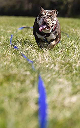 Maximum Pet Products 65ft 20M Dog & Horse Training Lunge Lead. 25mm - 1" Wide. Very Strong
