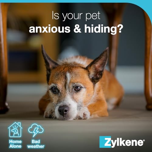 Zylkene Calming Supplements for Cats & Dogs up to 10kg 75mg | Promotes Relaxation | Helps Pets cope with Short-Term challenging situations: Loud Noises | Easily Administered | Capsules