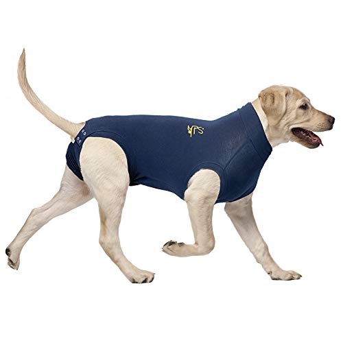 MPS Medical Pet Shirt Dog, Surgery Recovery Suit