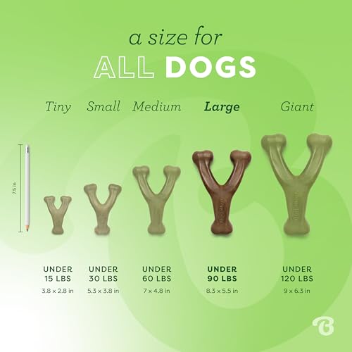 Benebone Indestructible Wishbone Dog Chew Toy for Aggressive Chewers, Long Lasting Tough Boredom Breaker for Dogs, Real Bacon Flavour, For Medium Dogs