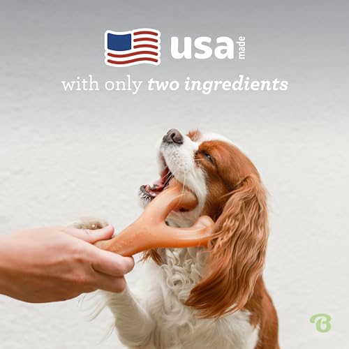 Benebone Indestructible Wishbone Dog Chew Toy for Aggressive Chewers, Long Lasting Tough Boredom Breaker for Dogs, Real Bacon Flavour, For Medium Dogs