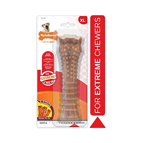 Nylabone Dura Chew Extreme Tough Dog Chew Toy Bone, Bacon Flavour, XS, for Dogs Up to 7 kg