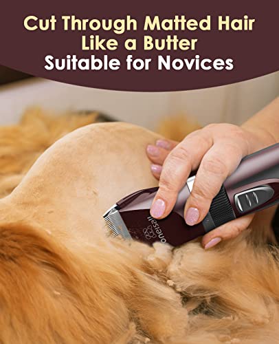 oneisall Cat Grooming Clippers for Matted Hair, 2-Speed Cordless Low Noise Pet Hair Clipper Trimmer for Dogs Cats Animals